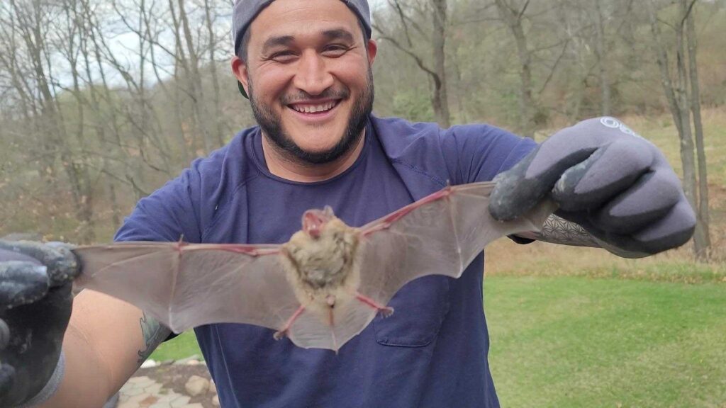 Animal Removal Prairieville